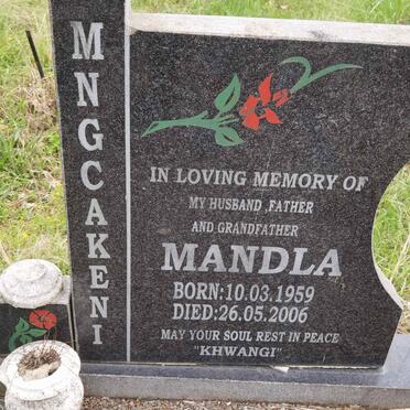 MNGCAKENI Mandla 1959-2006