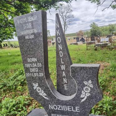 NKONDLWANE Nozibele 1981-2011