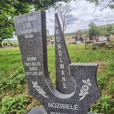 NKONDLWANE Nozibele 1981-2011