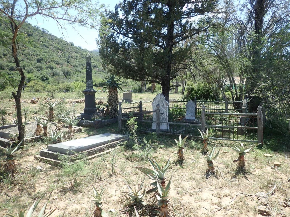 2. Overview / Oorsig