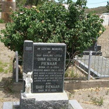 PIENAAR Dina Althea 1954-1959 :: PIENAAR baba -1955
