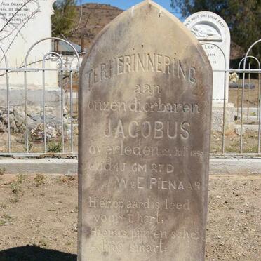PIENAAR Jacobus  -1894
