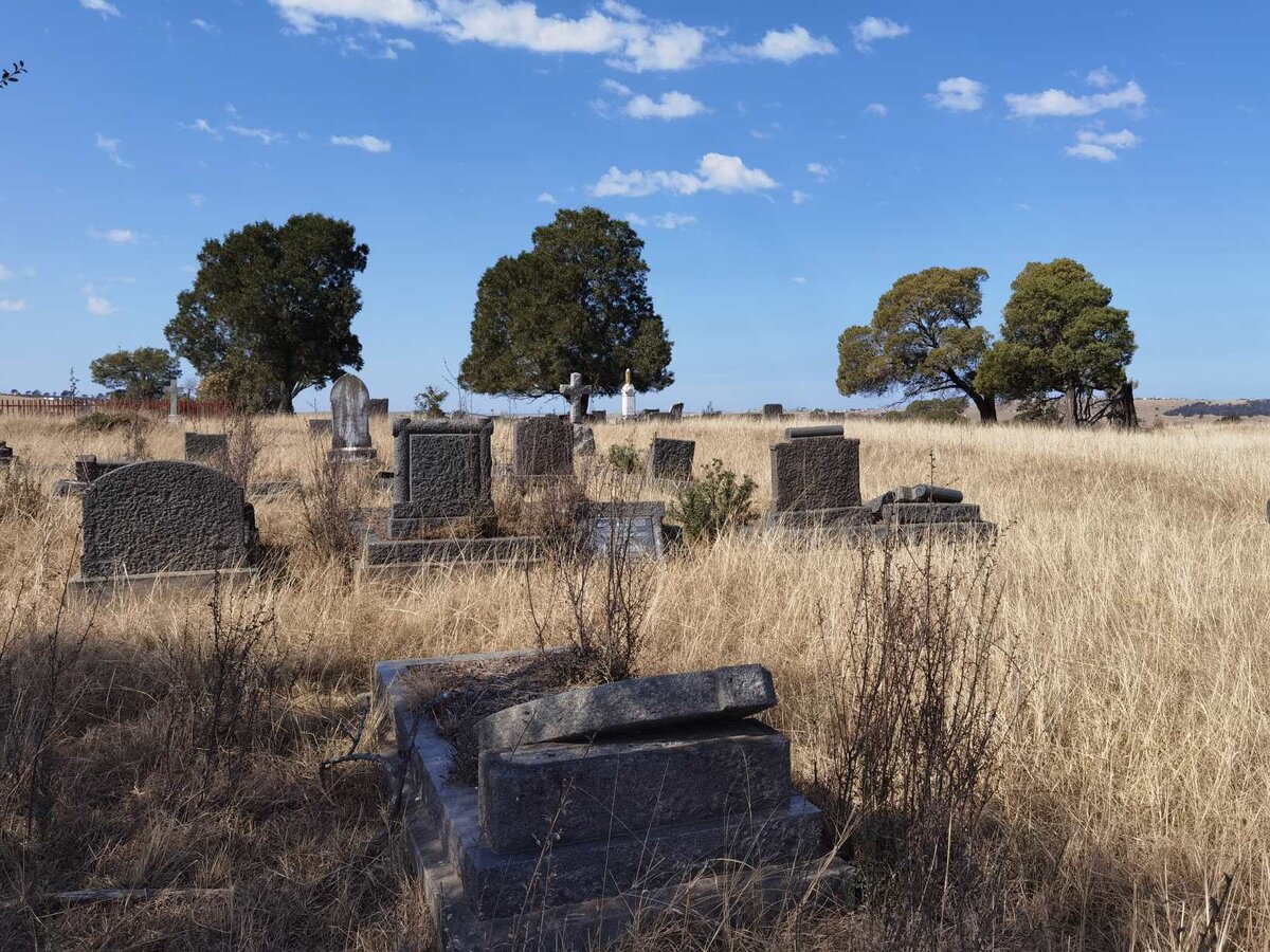 3. Oorsig / Overview