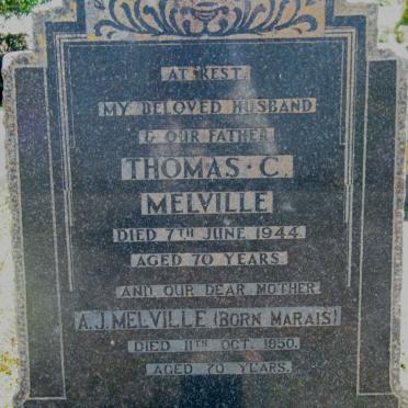 MELVILLE Thomas C. -1944 &amp; A.J. MARAIS -1950