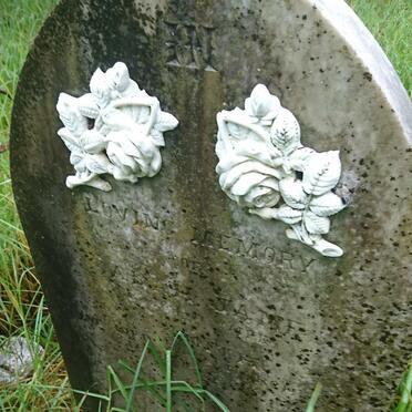 SMITH Sarah Jane -1895