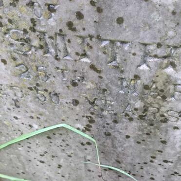 SMITH Sarah Jane -1895