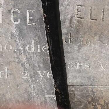 WEBB Maria Helenor -1851 :: WEBB Alice Elizabeth -1852