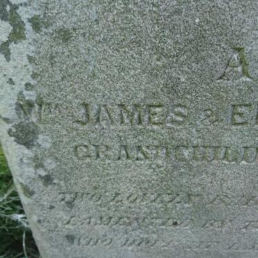 NELSON William -1862 :: WOODS William James :: WOODS Elizabeth Ann