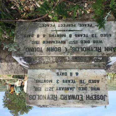 REYNOLDS Joseph Edward -1911 &amp; Ann YOUNG -1910