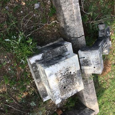 REYNOLDS Joseph Edward -1911 &amp; Ann YOUNG -1910