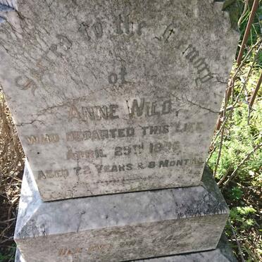 WILD Anne -1896