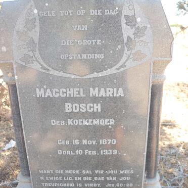 BOSCH Macchel Maria nee KOEKEMOER 1870-1939