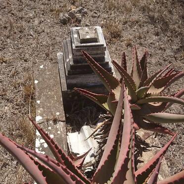 Eastern Cape, PEDDIE district, Farm 30, Bellevue, farm cemetery