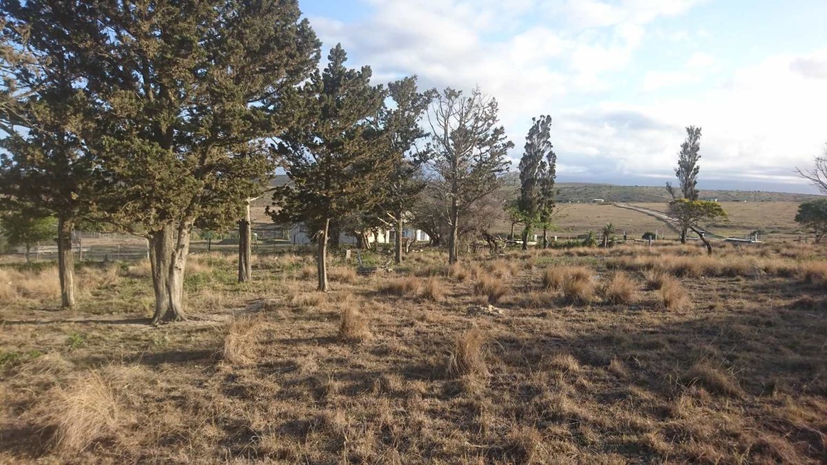 2. Overview