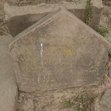 MEIER Carl 1838-1897