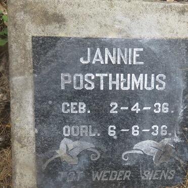 POSTHUMUS Jannie 1936-1936