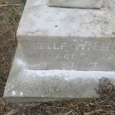 ? Little Willie -1901