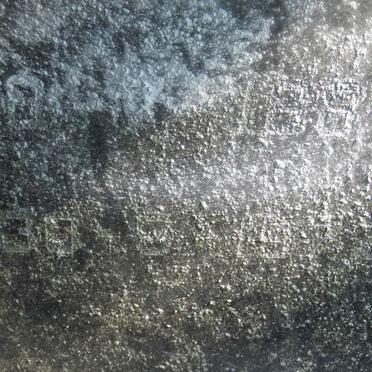 WESTCOTT William Berry 1888-1977 &amp; Myrtle Ruth CUMMINGS 1891-1978