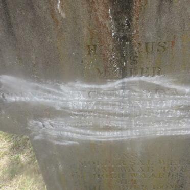 BEZUIDENHOUT Cornelia Catharina Dorethia nee LOTTER 1881-1945