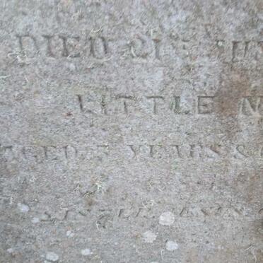 HENMAN Amy Jane -1871 