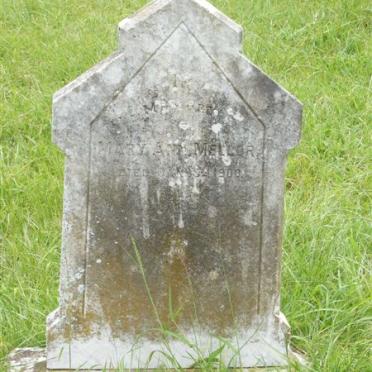 MELLOR Mary Ann -1900