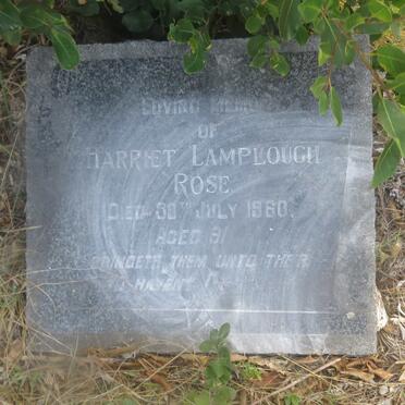 ROSE Harriet Lamplough -1960