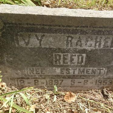 REED Ivy Rachel nee ESTMENT 1897-1953