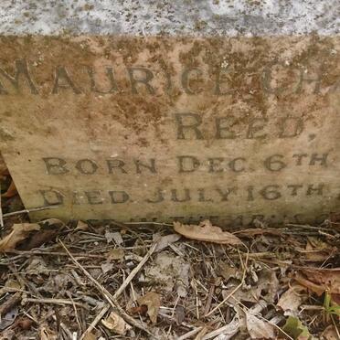 REED Maurice Charles 1918-1920