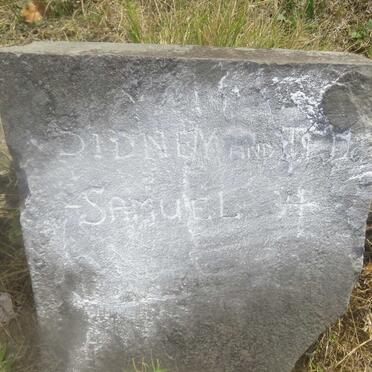 SAMUEL Sidney &amp; Ted