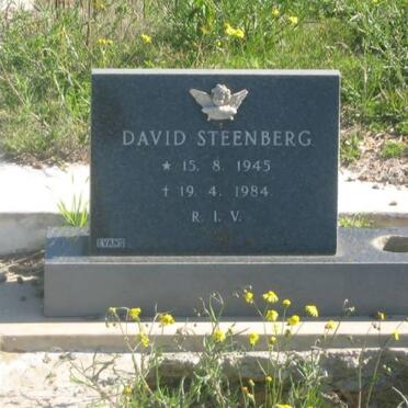 STEENBERG David 1945-1984
