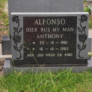 ALFONSO Anthony 1961-1982