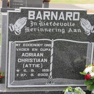 BARNARD Adriaan Christiaan 1931-2002