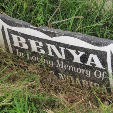 BENYA Ngabisa F. 1966-2008