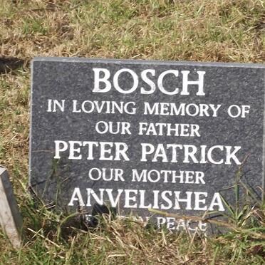 BOSCH Peter Patrick 1939-1984 &amp; Anvelishea 1951-2003