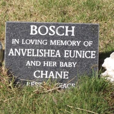 BOSCH Anvelishea Eunice 1951-2003 :: BOSCH Chane
