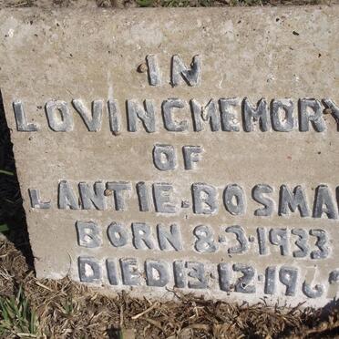 BOSMAN Lantie 1933-1961