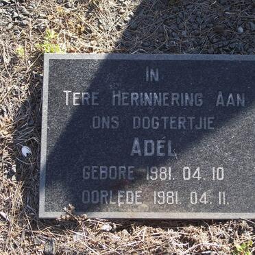 DERBYSHIRE Adel 1981-1981 :: DERBYSHIRE Michelle 1985-1985