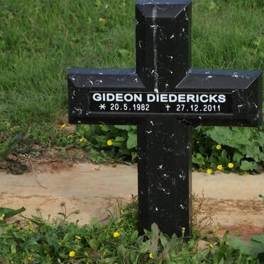 DIEDERICKS Gideon 1982-2011