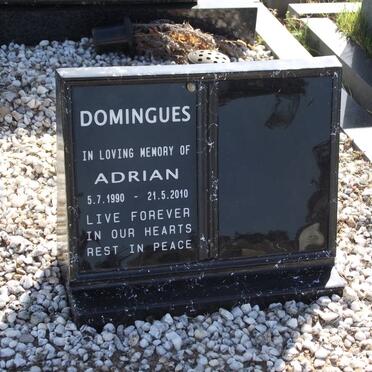 DOMINGUES Adrian 1990-2010