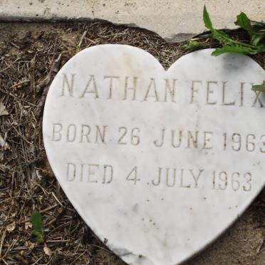 FELIX Nathan 1963-1963