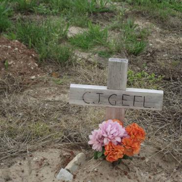 GEEL Carel J. 1965-2011