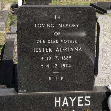 HAYES Hester Adriana 1885-1974