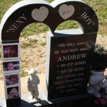 HATTINGH Andrew 2008-2010