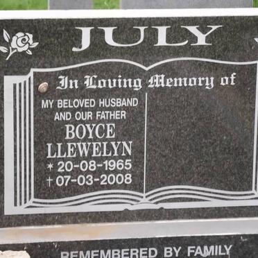 JULY Boyce Llewelyn 1965-2008