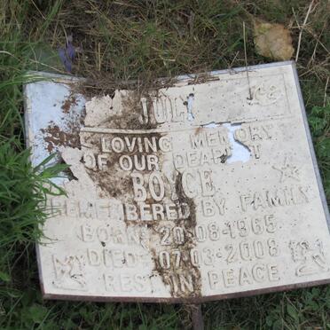 JULY Boyce Llewellyn 1965-2008