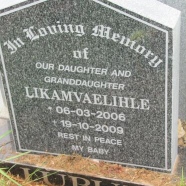 LUPUZI Likamvaelihle 2006-2009