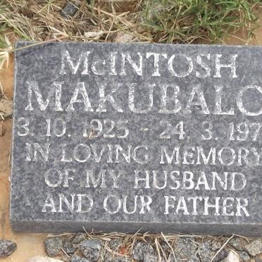 MAKUBALO McIntosh 1925-1978