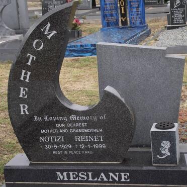MESLANE Notizi Reinet 1929-1999