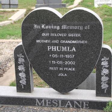 MESLANE Phumla 1957-2002