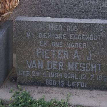 MESCHT Pieter A.J., van der 1904-1967